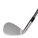 TaylorMade Hi-Toe 3 Wedges Hans Lemmens Golf