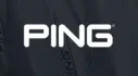 PingLogo.webp