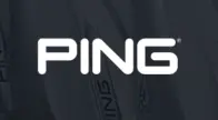 PingLogo.webp