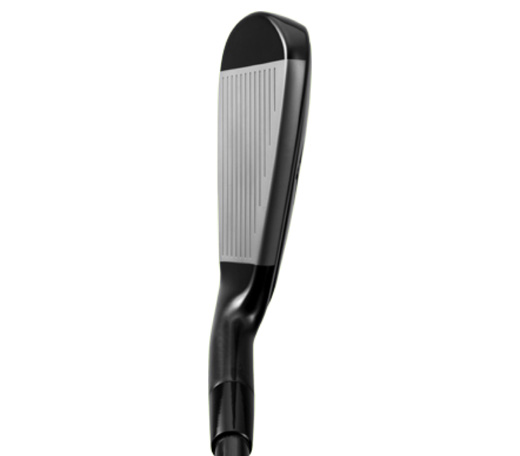 Mizuno Pro-series Ijzers Hans Lemmens Golf