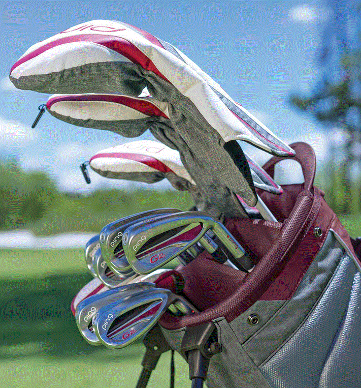Ping Iron G LE2 / Complete Ladies Set / HLG Special
